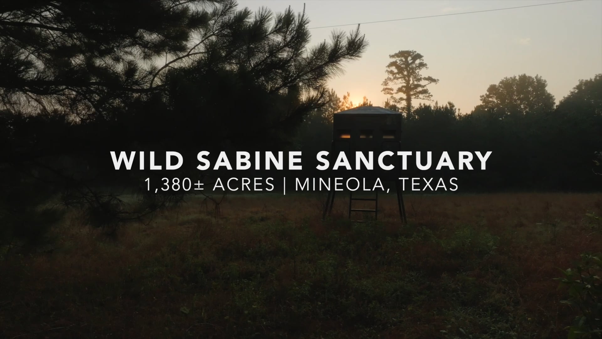 Icon Global | Wild Sabine Sanctuary