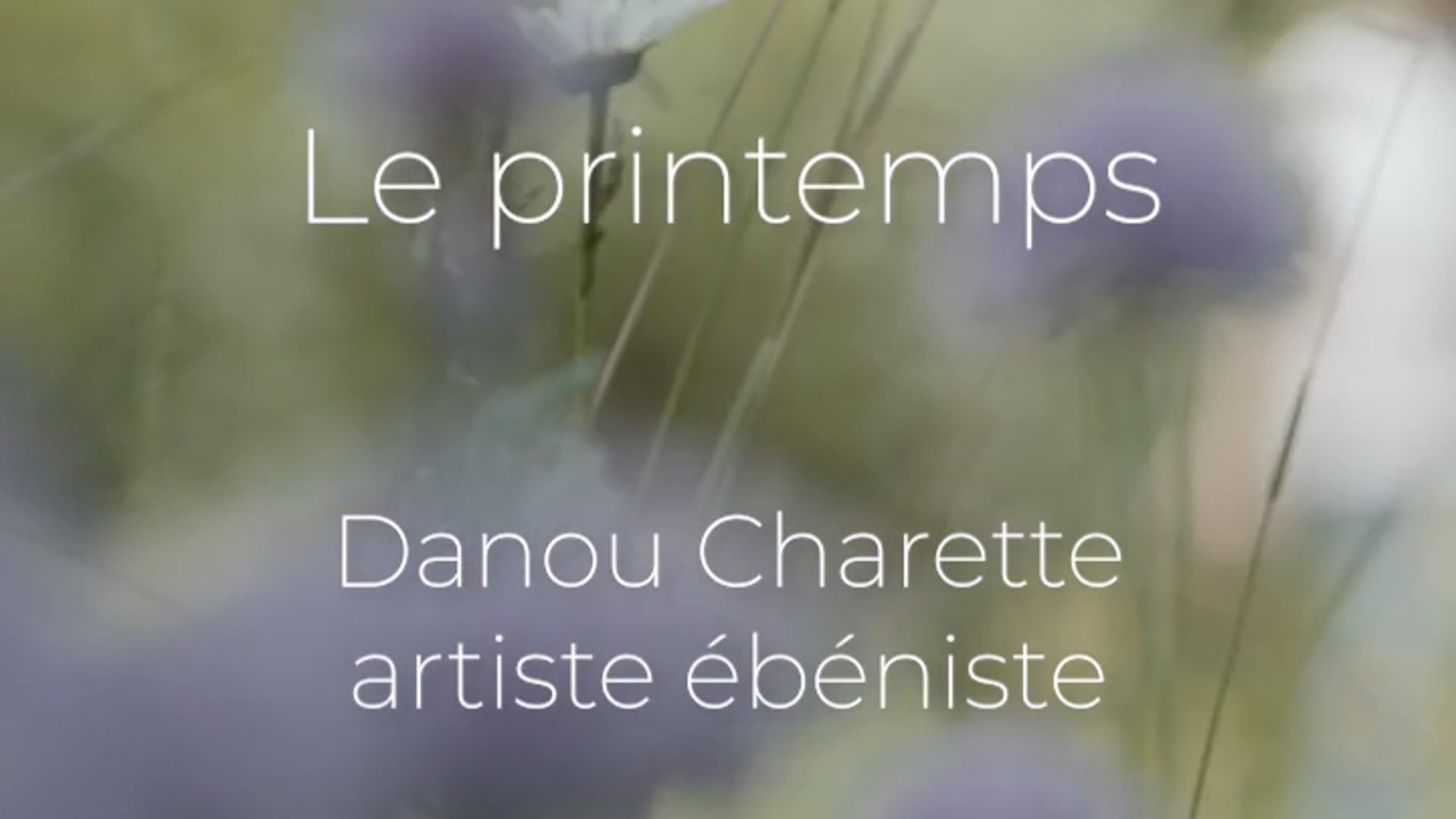 Le printemps // Danou Charette