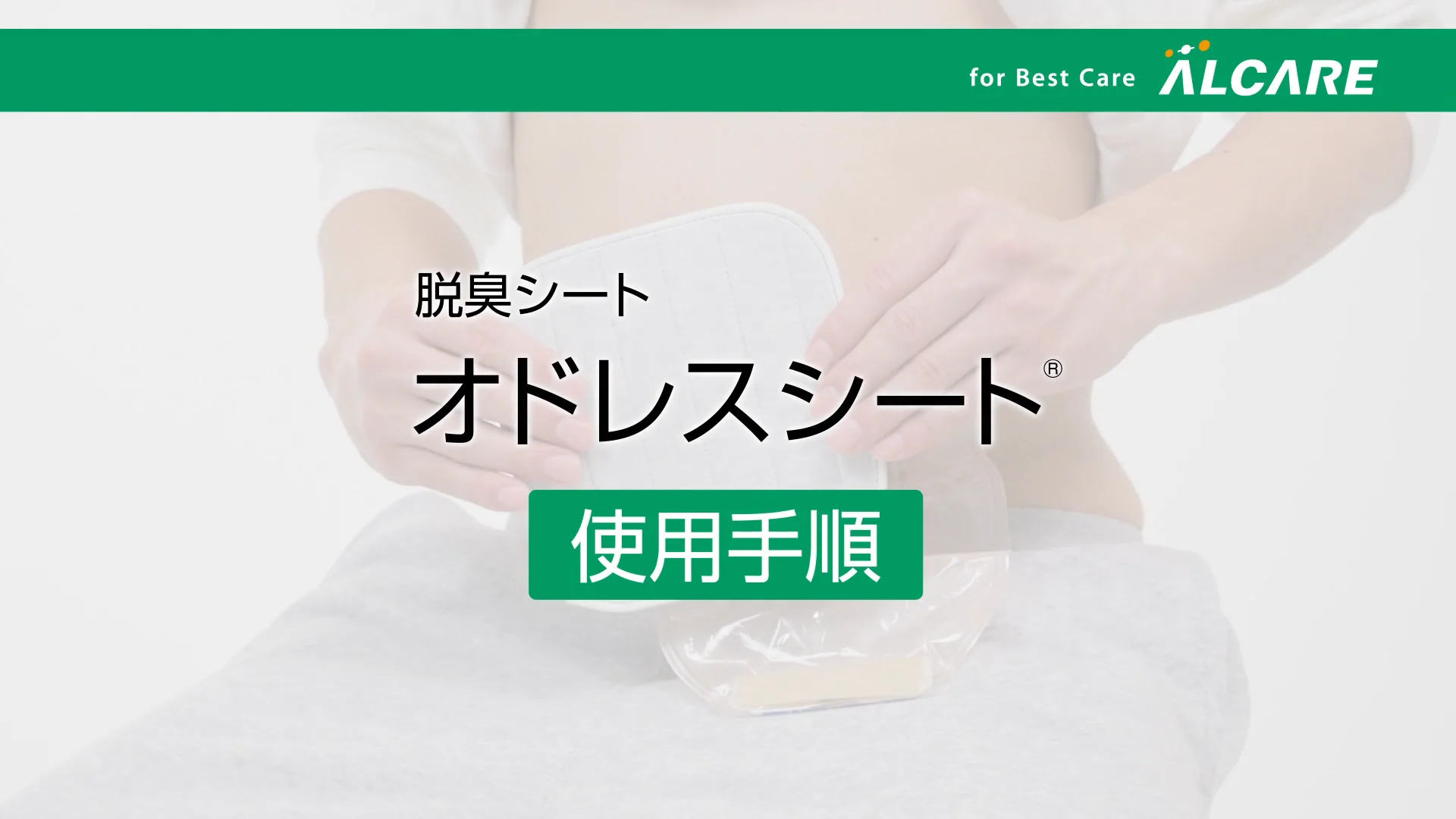 オドレスシート_使用手順  