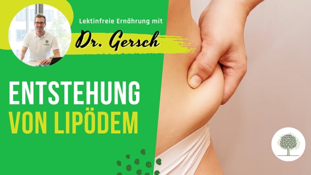 Funktioniert die Entstehung eines Lipödems so ähnlich wie die Genese einer Fettleber? 