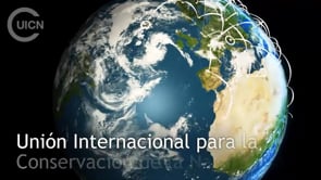 La Fundació Alive entra a formar part de la Unió Internacional per a la Conservació de la Natura. 