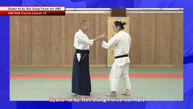 Aiki bujutsu deals ready stance