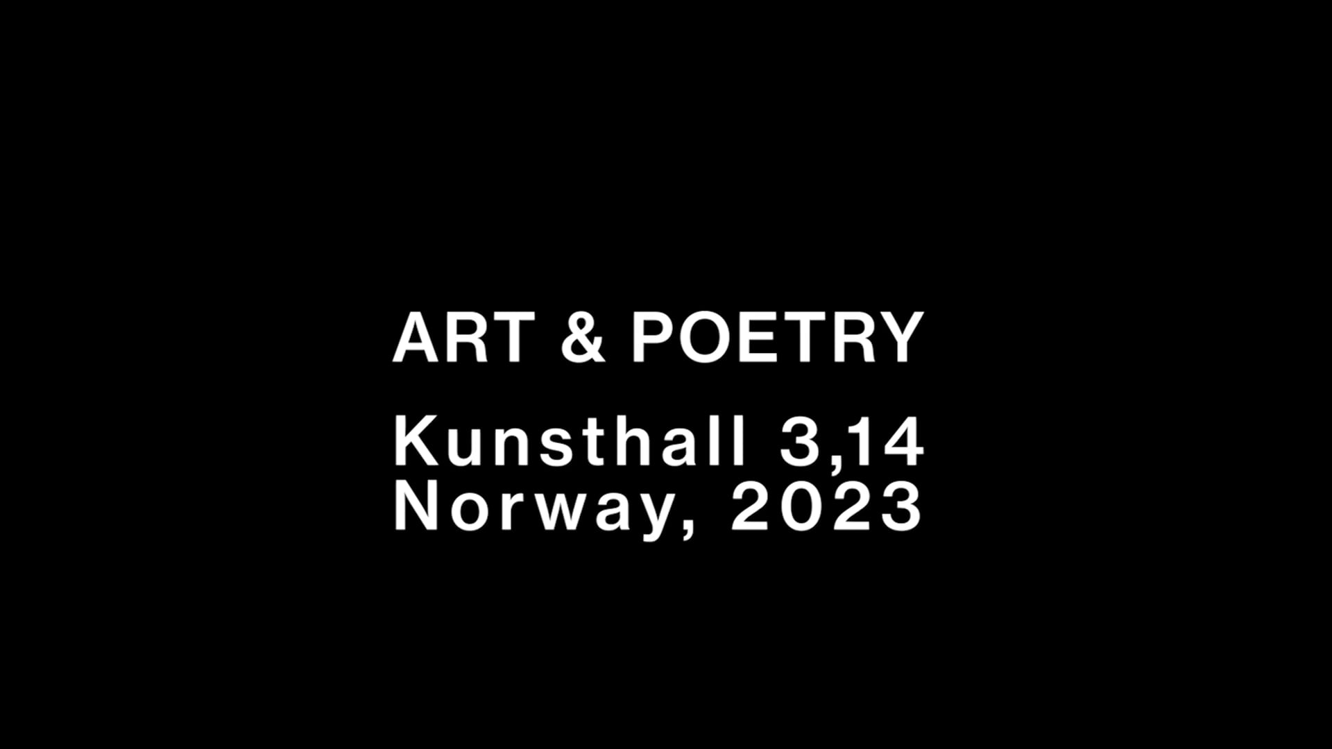 NIMI performing "Here is a Nation" by Matt Sedillo at Kunsthall 3,14