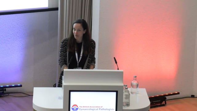 Practical approach to mesonephric lesions and mimics