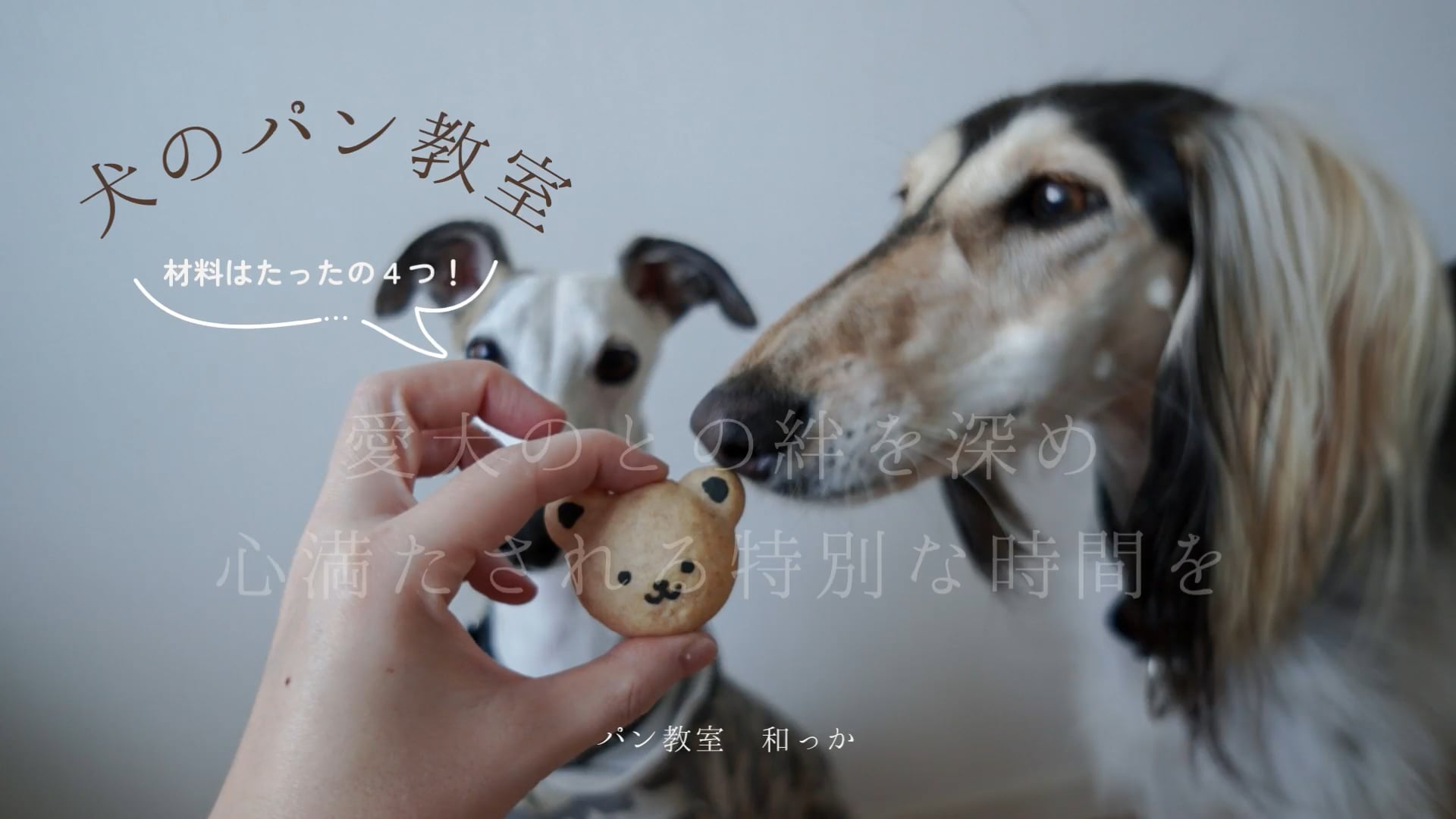 予告編動画のサムネイル画像