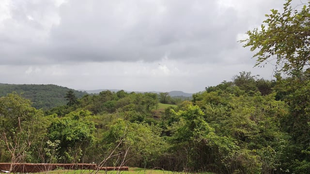 Green Hill Nature Free Stock Video - Pixabay