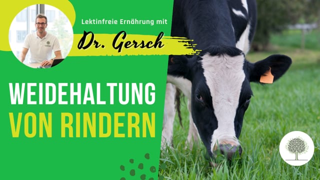 Weidehaltung von Rindern nur im Sommer, Zufütterung im Winter. Wie mit Fleisch, Milch und Butter umgehen?