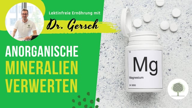 Kann der Körper anorganische Mineralien wie z. B. Magnesiumoxid überhaupt verwerten oder eher nur organische wie z. B. Magnesiumcitrat? 