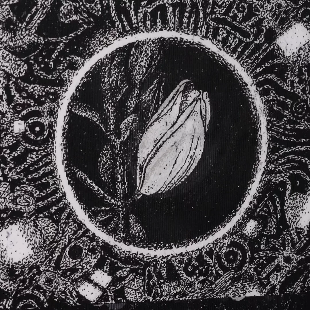 Open Eyes (Flower) by Jake Fried