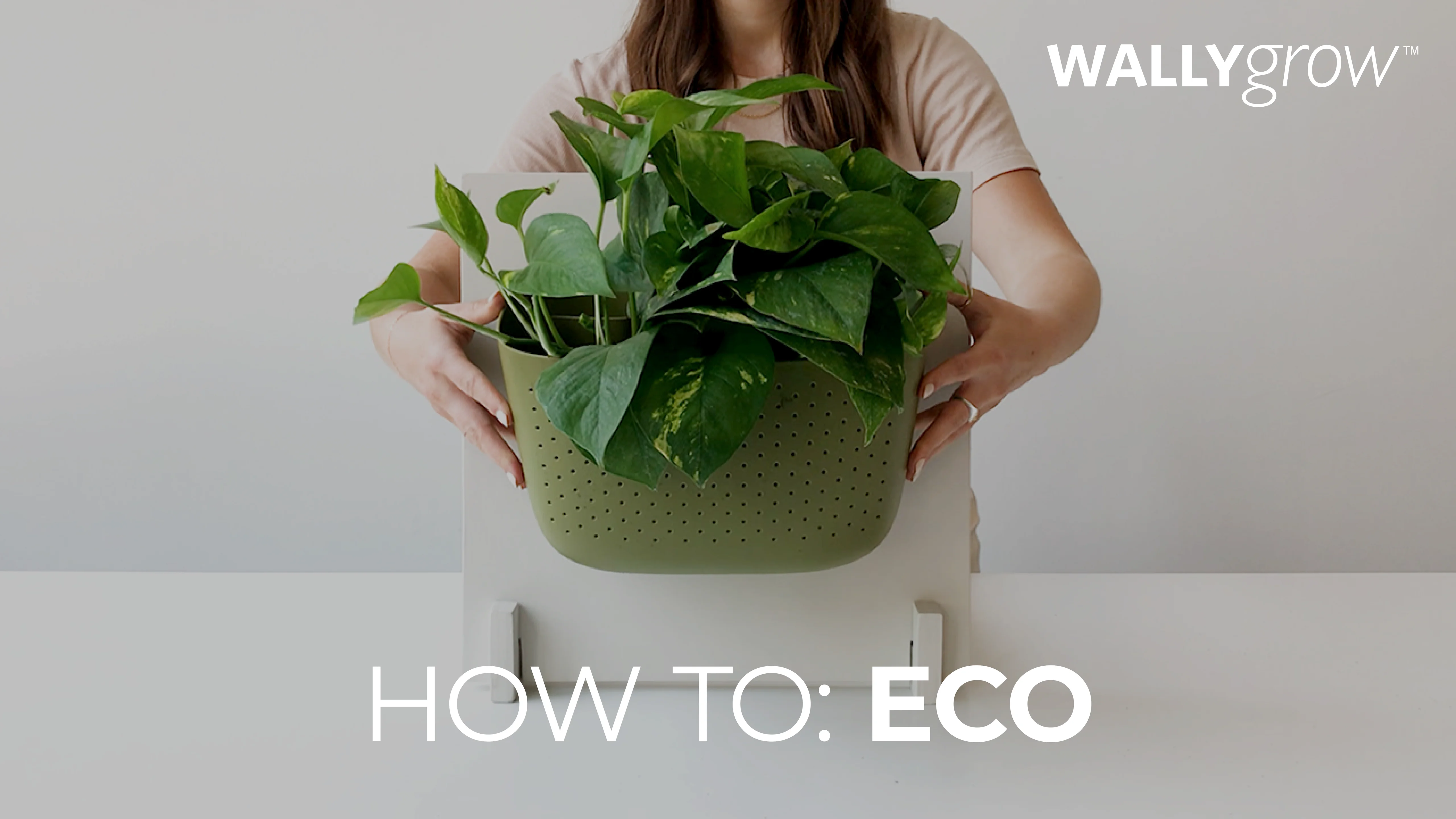 Eco Olive Wall Planter | WallyGrow