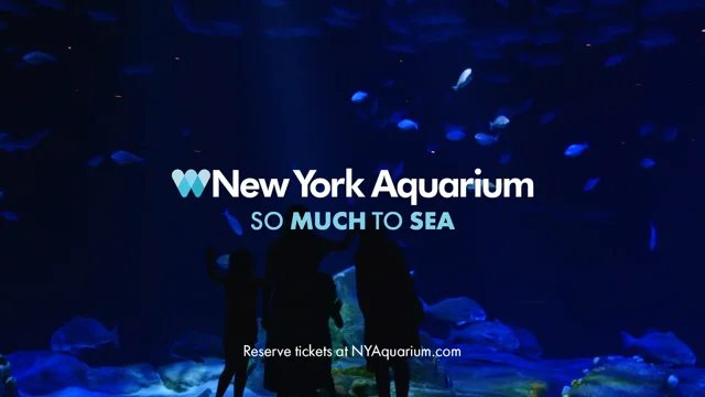 Brooklyn Cyclones - New York Aquarium
