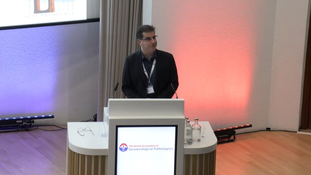 Practical approach to mixed epithelial/stromal tumours
