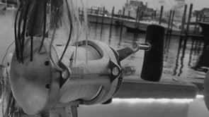 Moore Bills — Ocean City Fishing