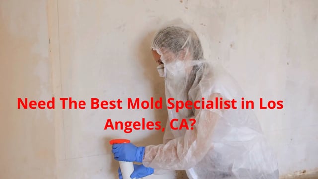 Air Clean Environmental Inc | Best Mold Specialist in Los Angeles, CA