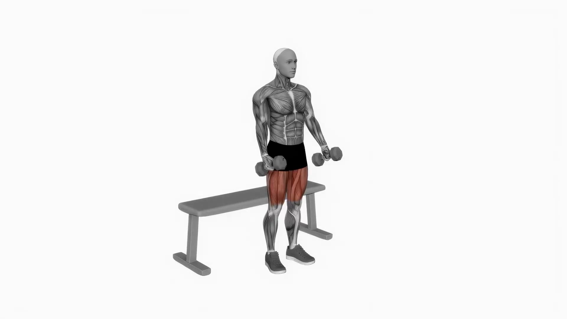 Dumbbell Bench Squatmp4 On Vimeo 4956