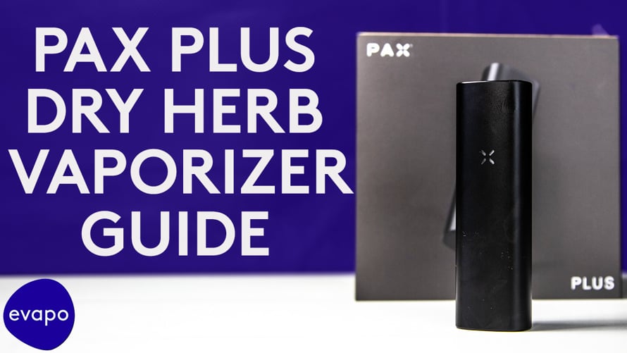 geek bar pulse vapes Geek Bar Pulse X 25K Disposable Vape