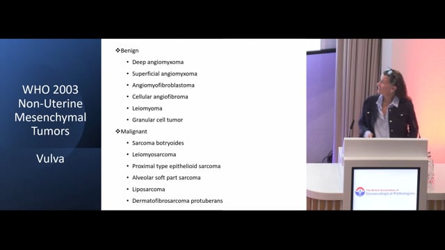 Practical approach to mesenchymal lesions of the gynae tract  (non-uterine)