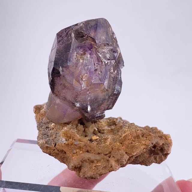 Quartz var: Amethyst / Smoky (''fenster'' and scepter) (New Find!)