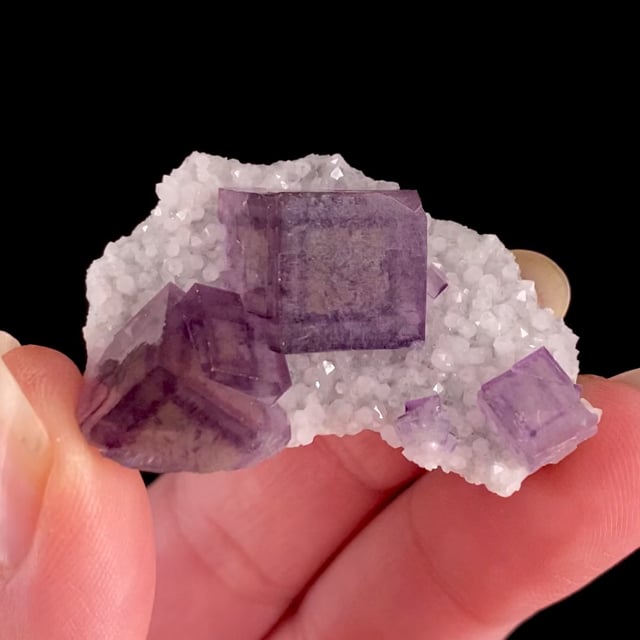 Fluorite (''phantoms'')