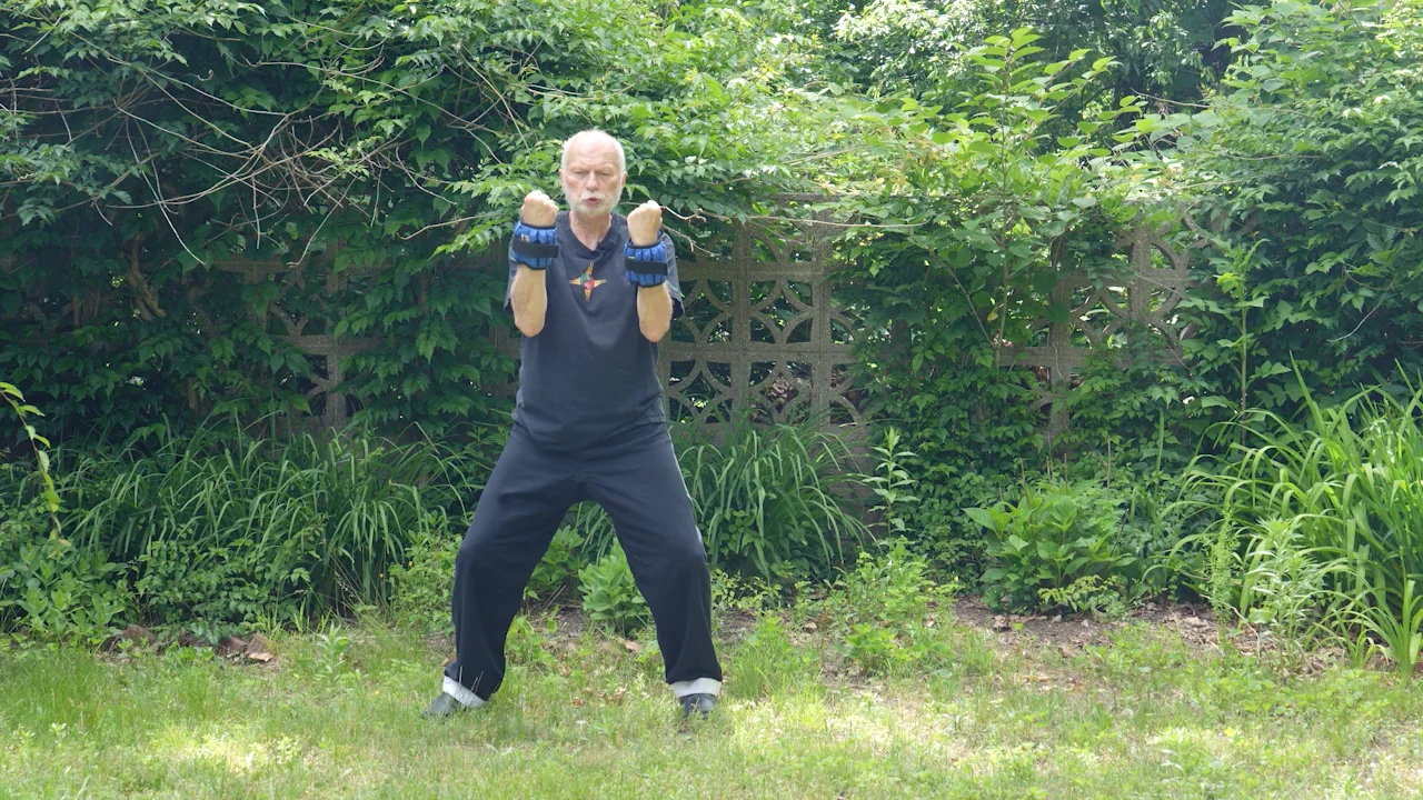 Iron Arm Qigong Practice on Vimeo