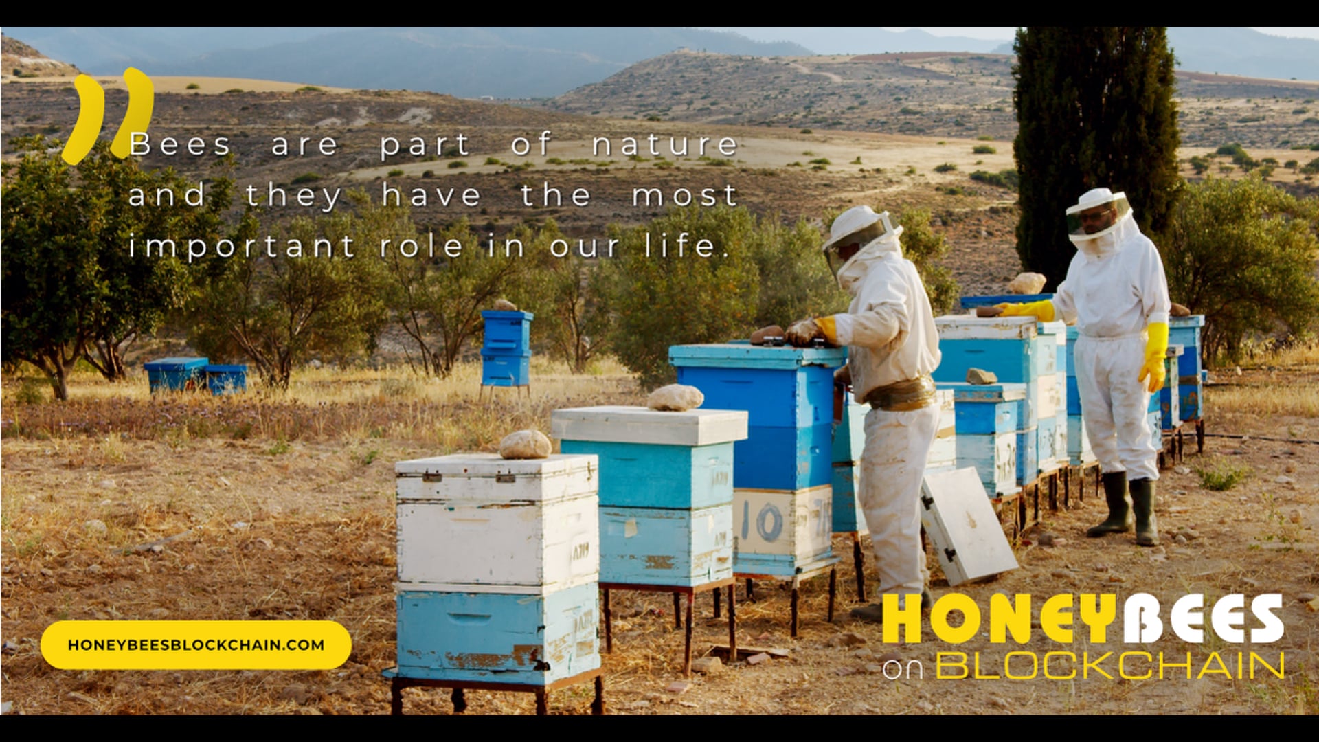 Honeybees on blockchain trailer