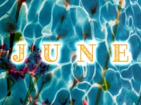 Manage Your Time or <br>Your Time Will Manage You<br/>Jun 11, 2023