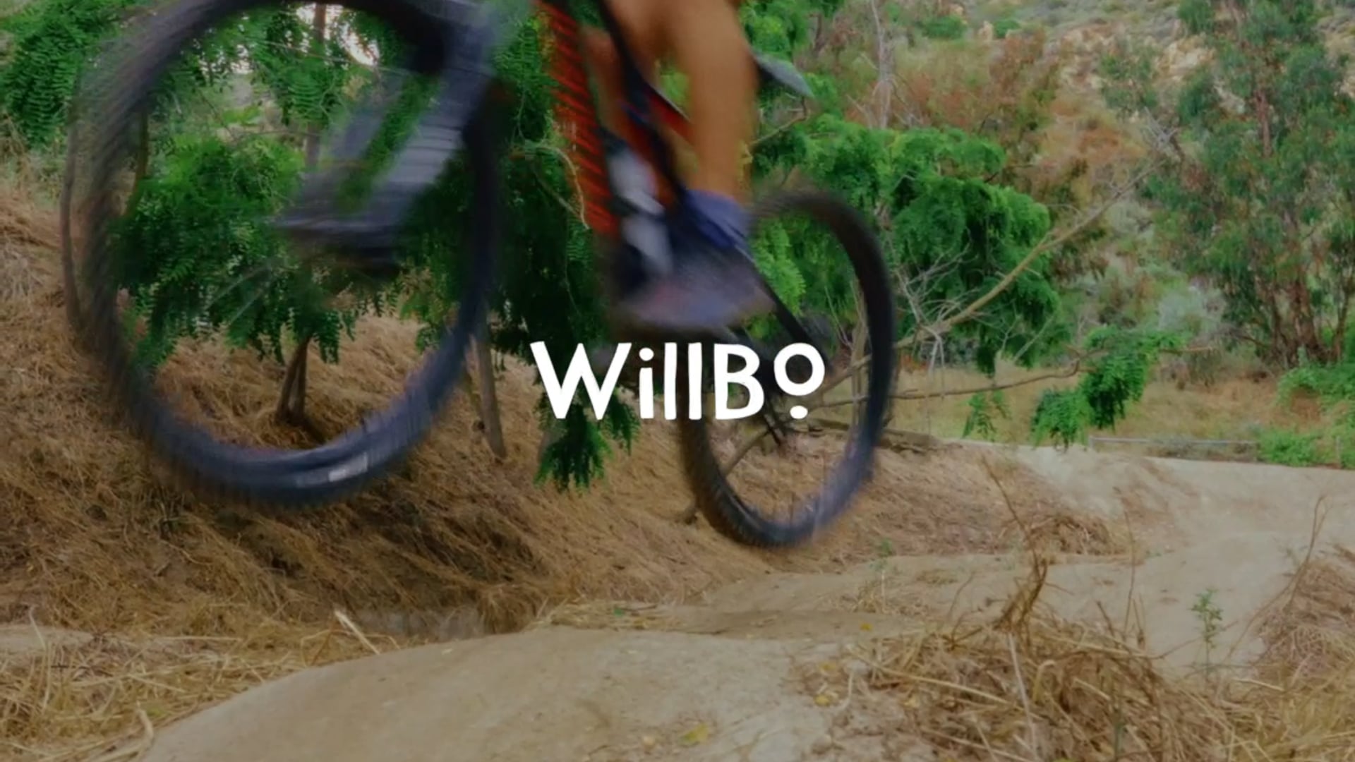 Willbo