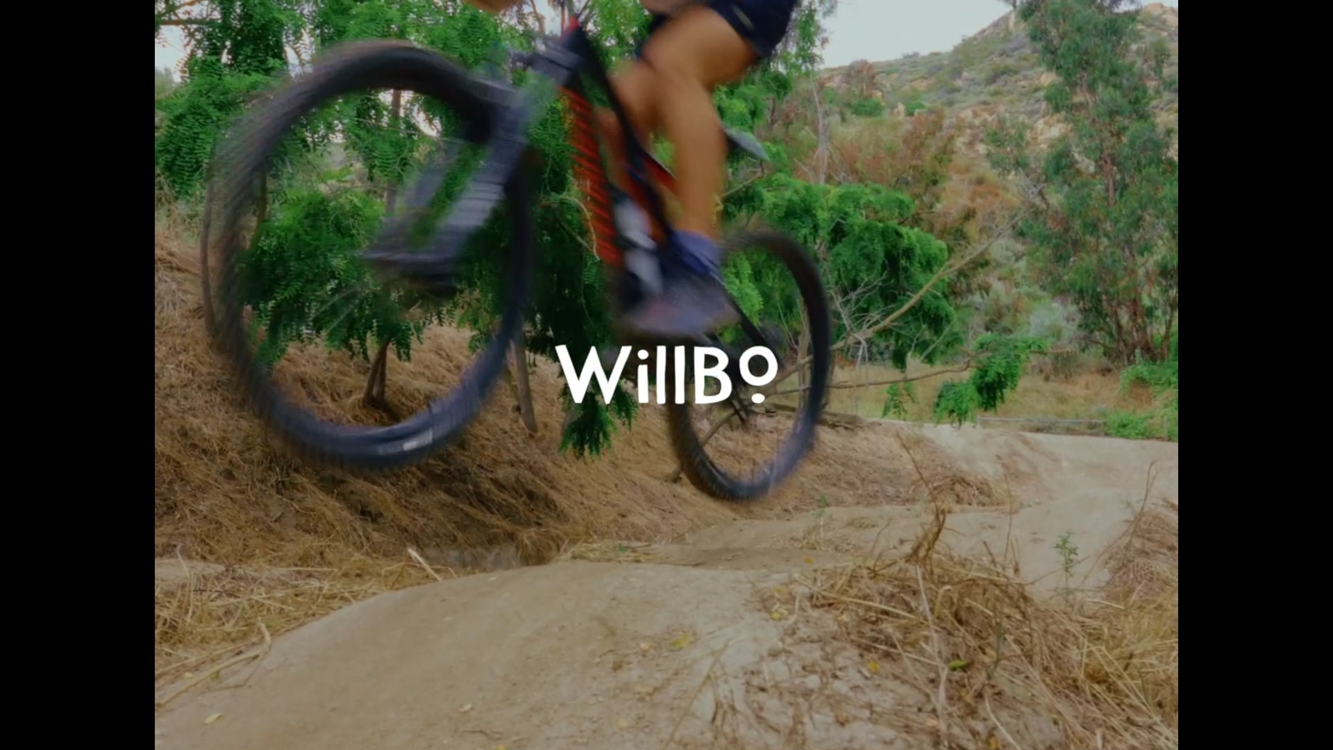 Willbo