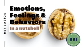 Emotions, Feelings, and Behavior in a Nutshell