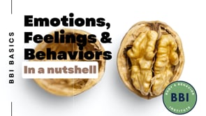 Emotions, Feelings, and Behavior in a Nutshell