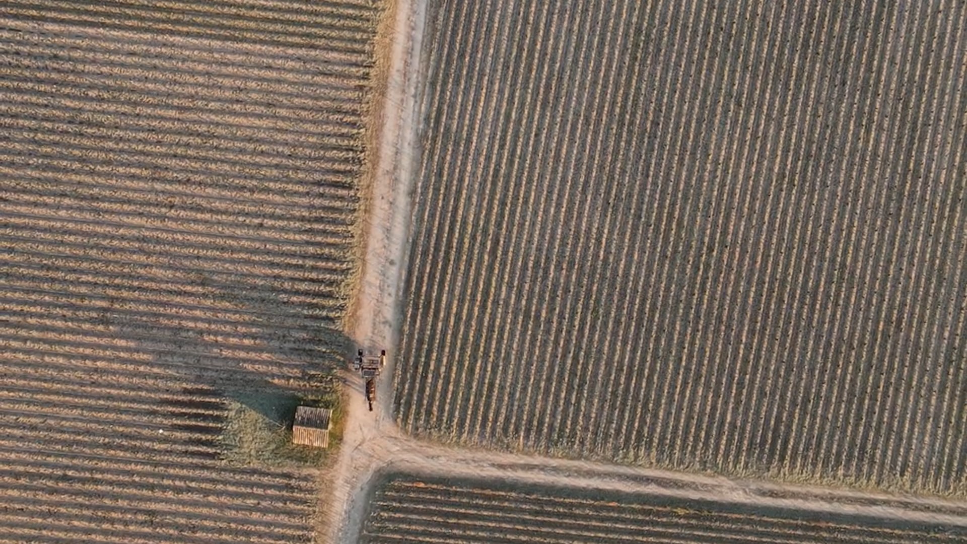 Pontet Canet - Les Assemblages