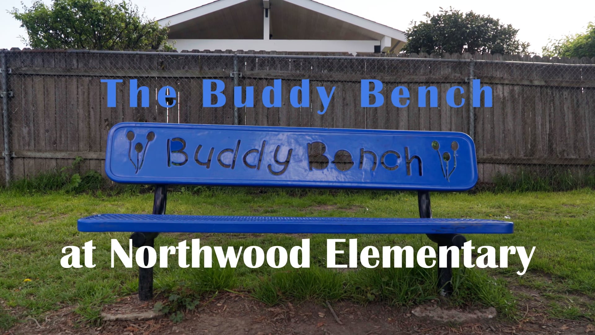 The Buddy Bench