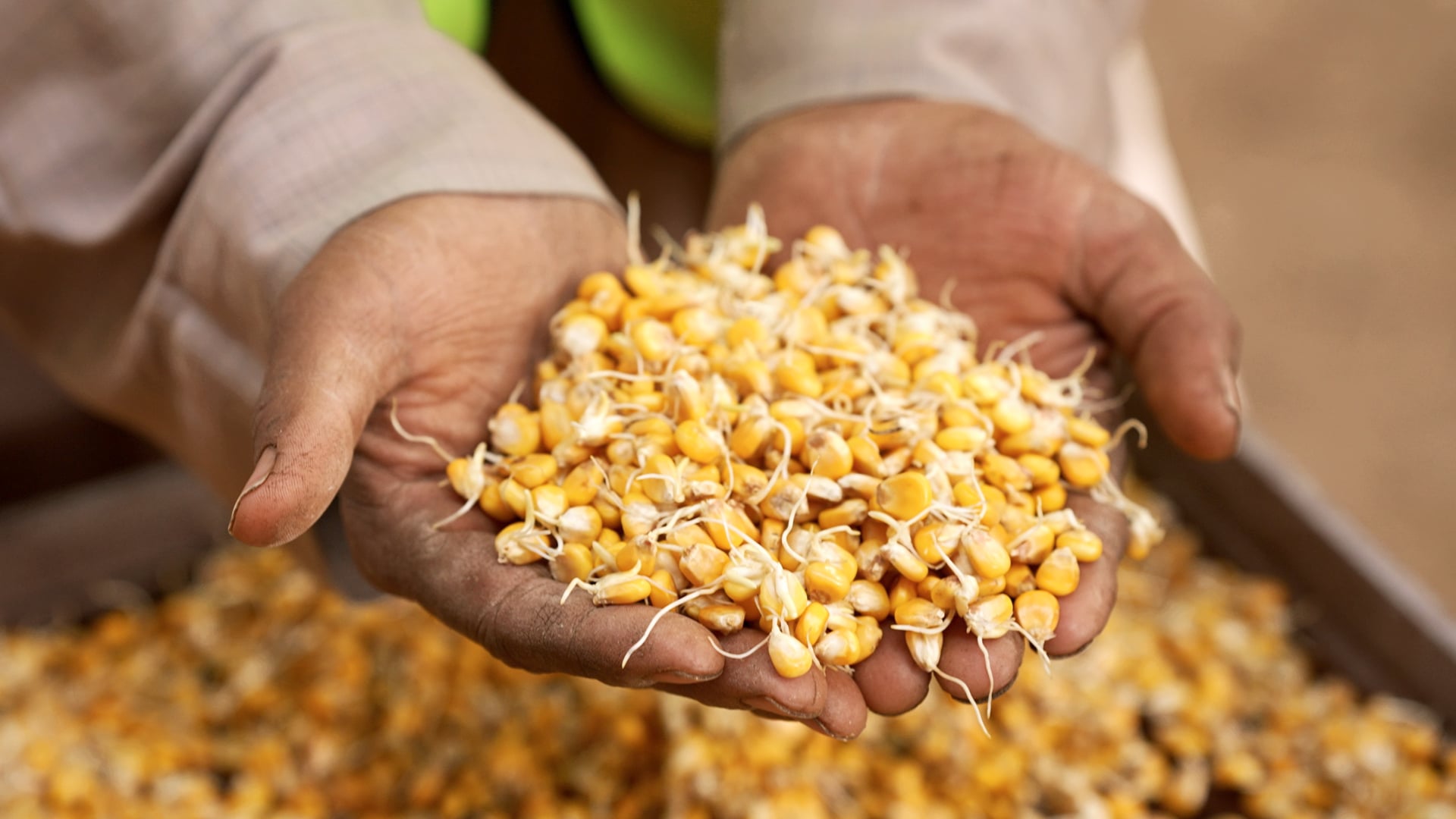 UNIDO - IGGE Recap Film