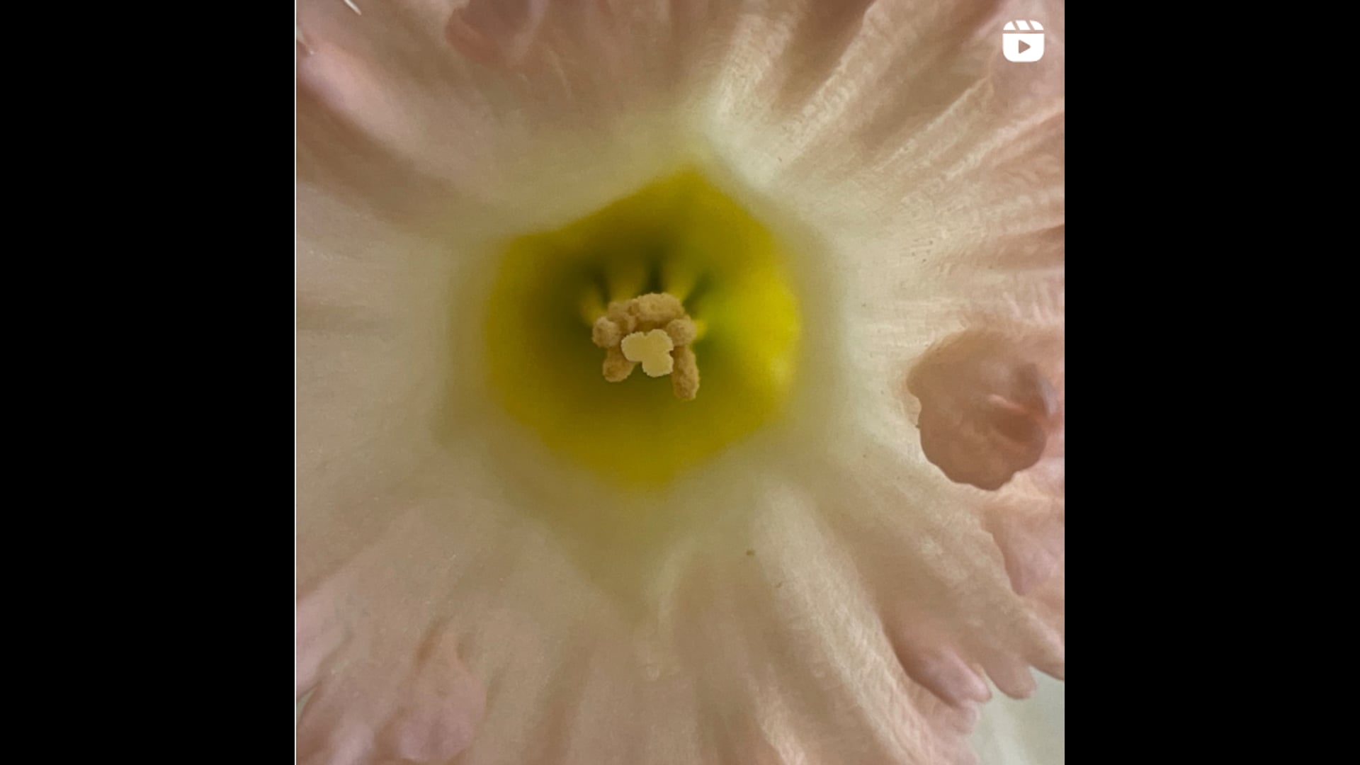 2023 April 19: Wisdom Grows Through Mindfulness Practice