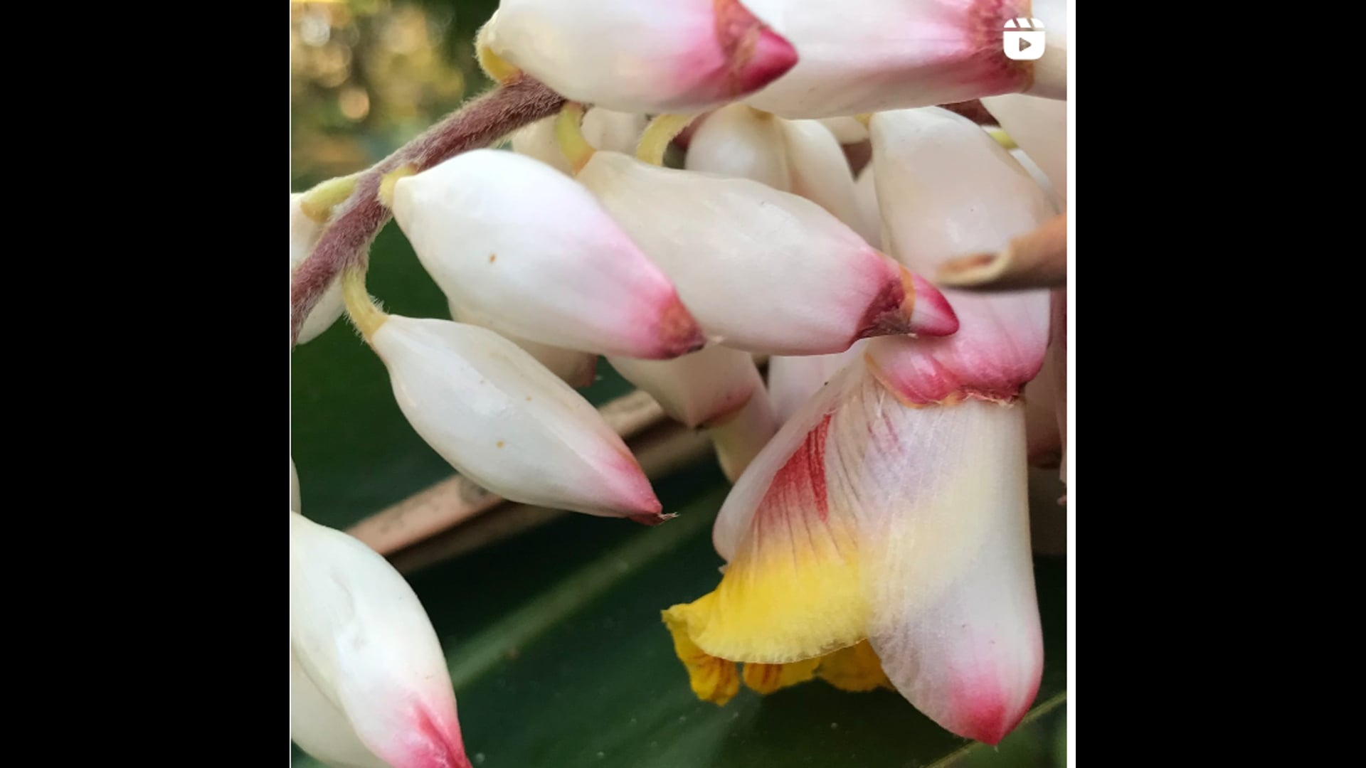 2023 April 24: Wisdom is not a Destination