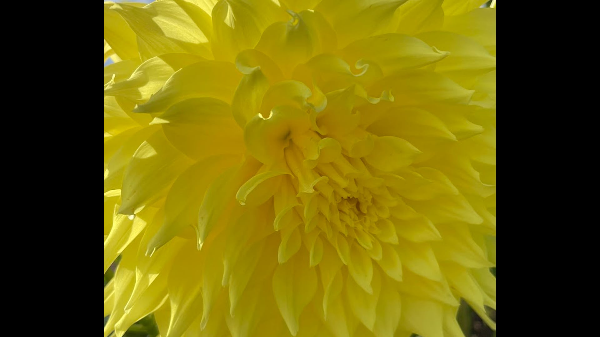 2023 May 03: Commit to Sit!