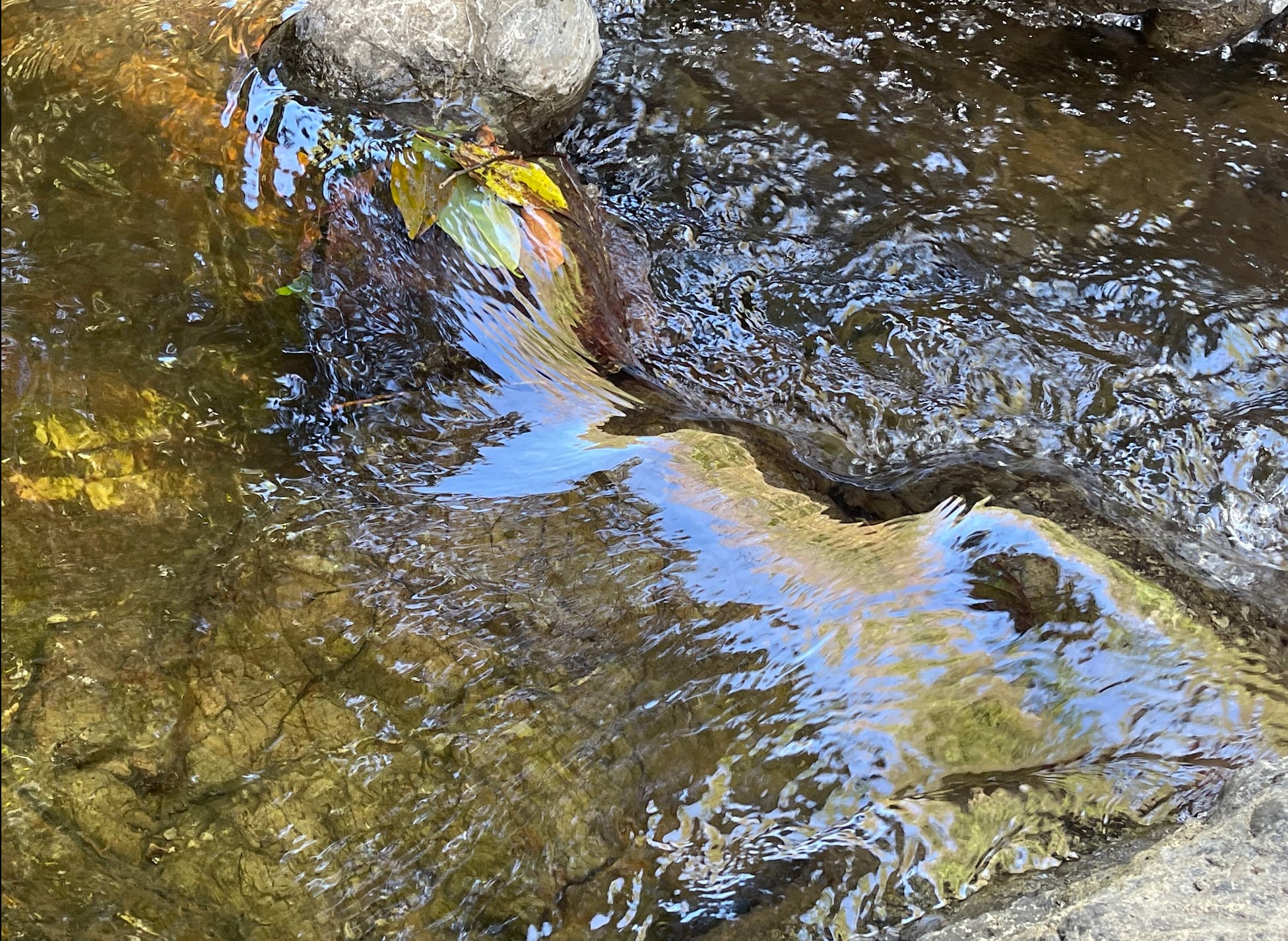 2023 May 31: Viriya - Explorations in Skillful and Unskillful Effort