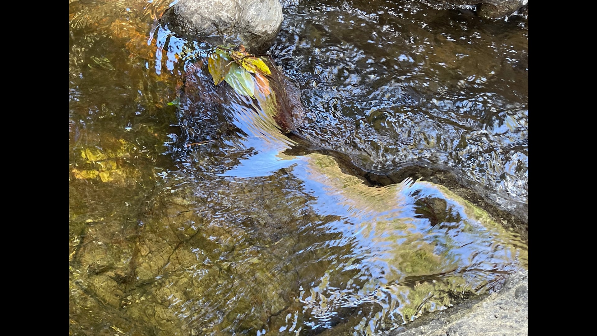 2023 May 31: Viriya - Explorations in Skillful and Unskillful Effort