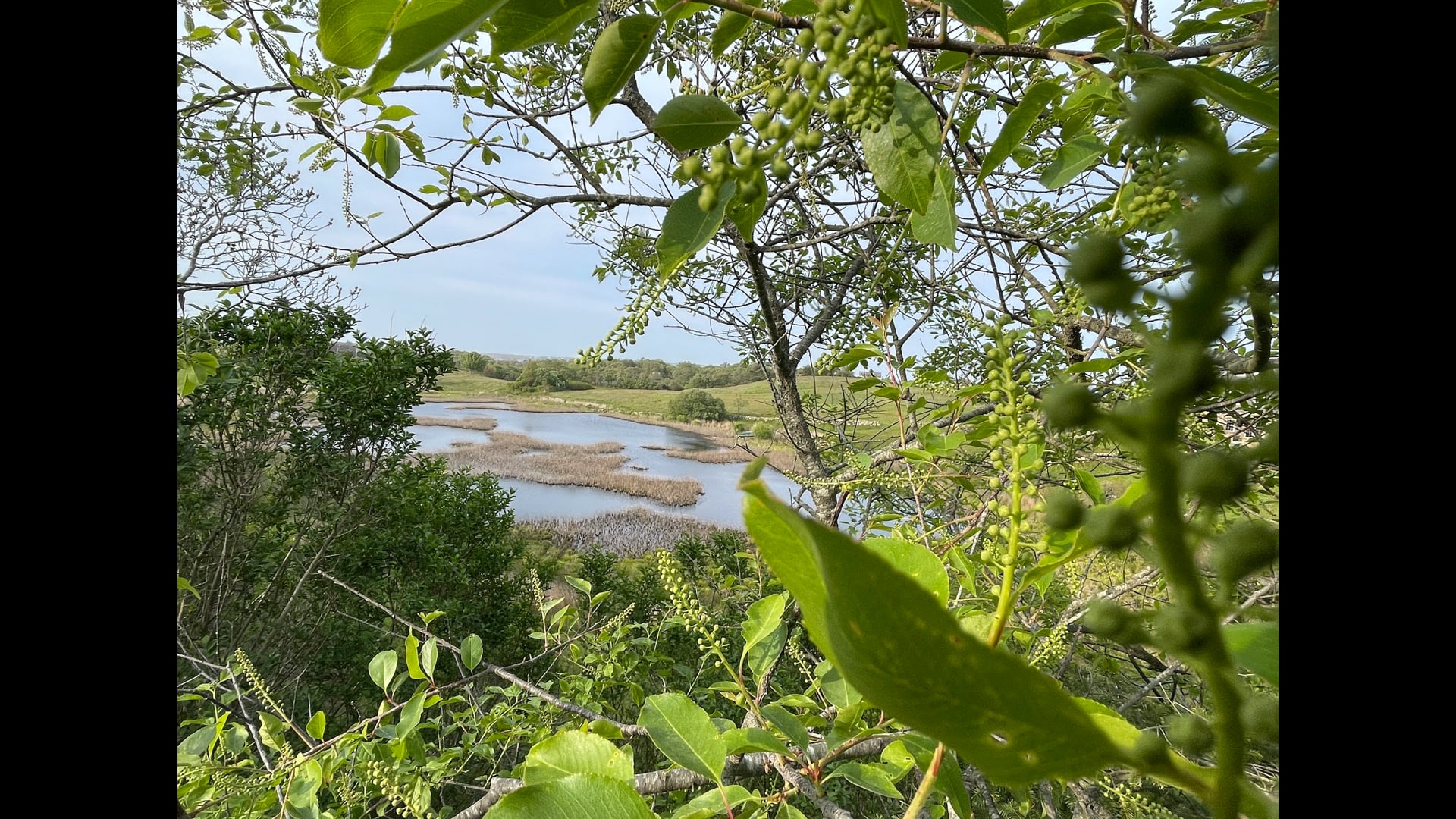 2023 June 19: Patience and Flexibility