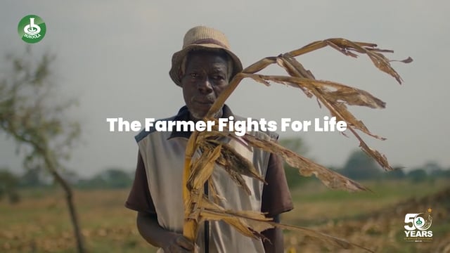 Bukoola 50 Years Video
