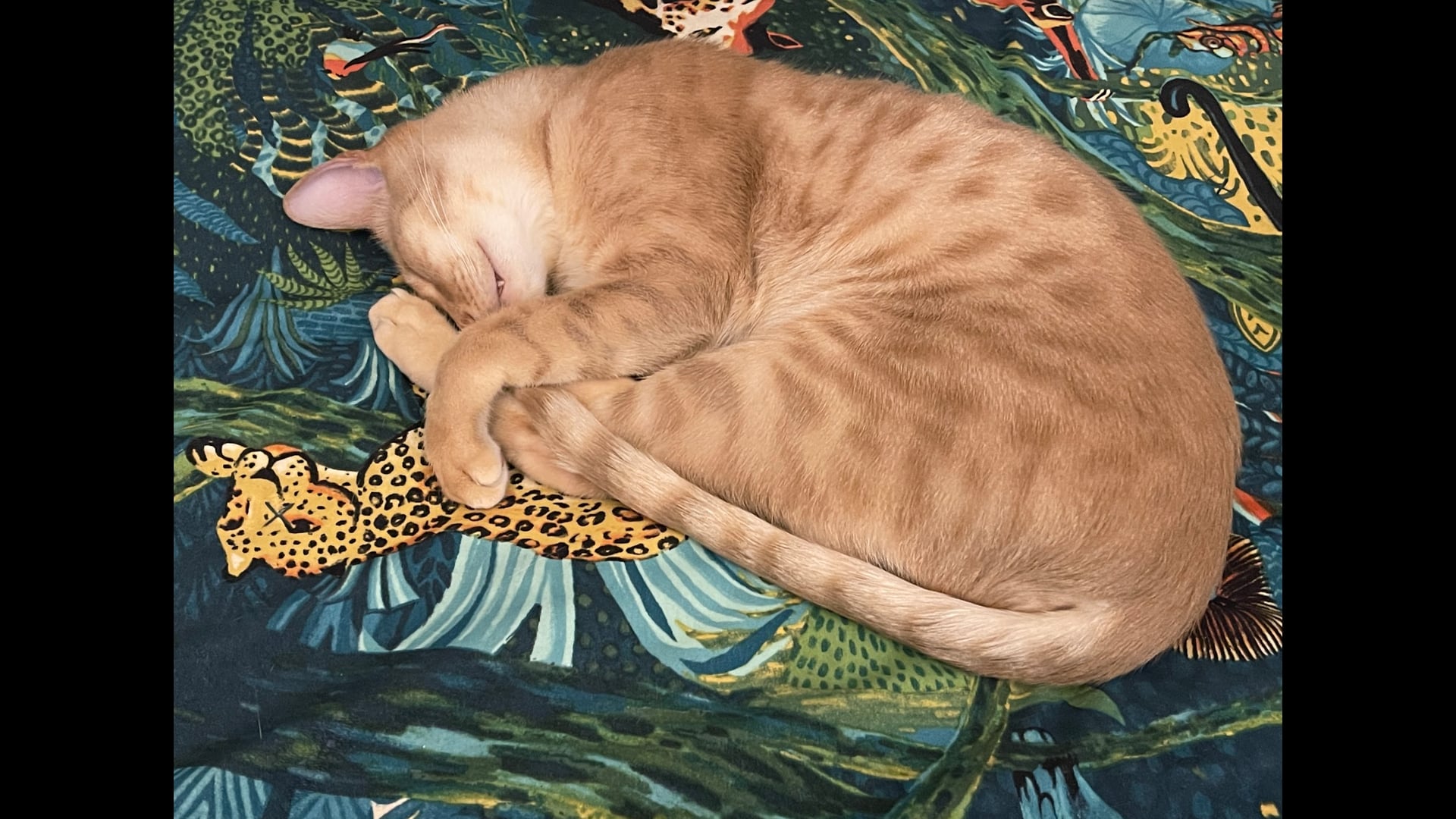 2023 June 07: What We Learn from Working with Impatience