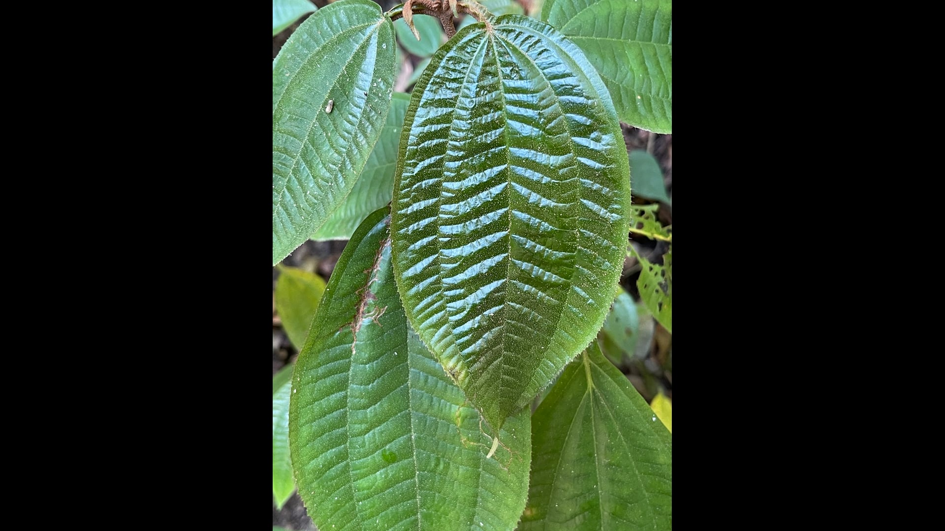 2023 June 14: Being a Slow Learner