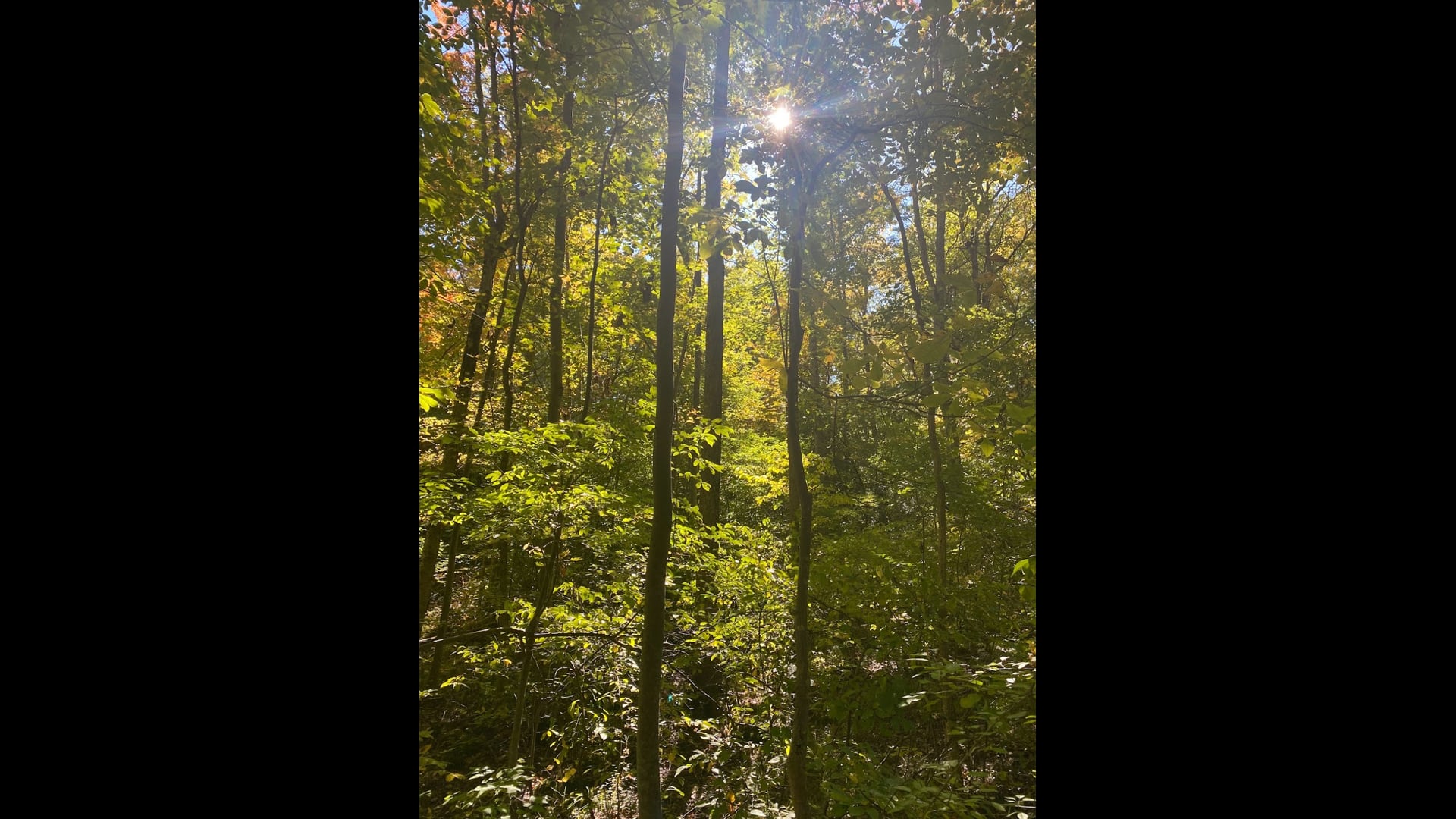 2023 June 05: The Value of Patience