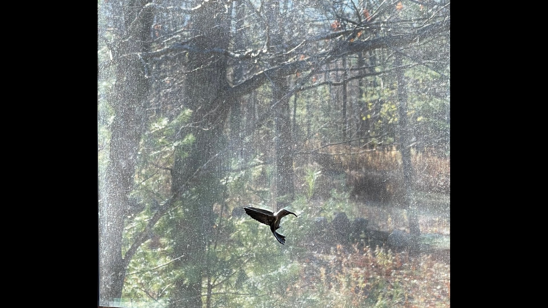 2023 June 21: The Fruits of Patience