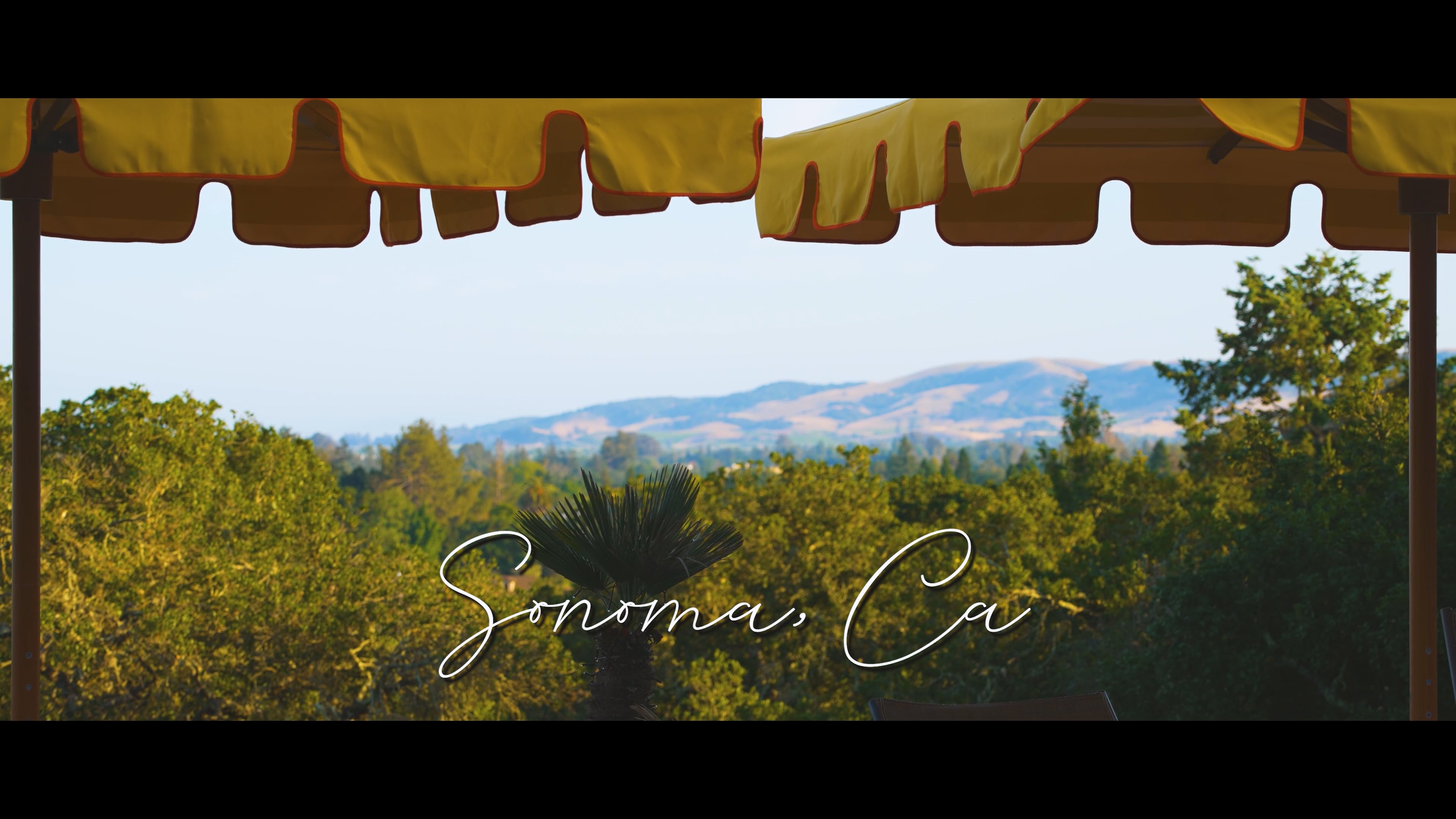 Sonoma Mountain Home Wedding - Cinematic Highlight Reel // 4K