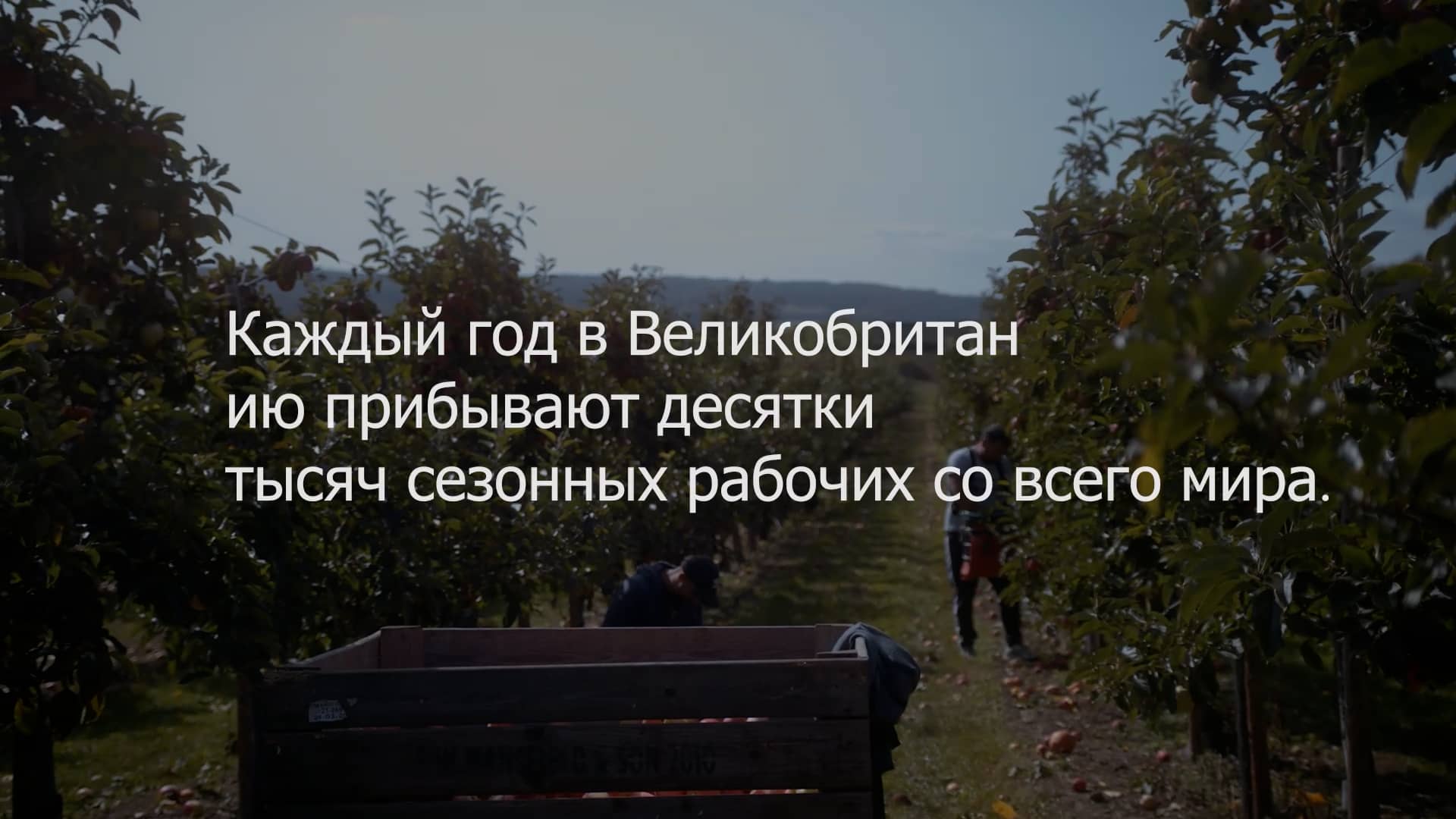 Seasonal Workers' Scheme what to expect when working in the UK (Russian) on Vimeo