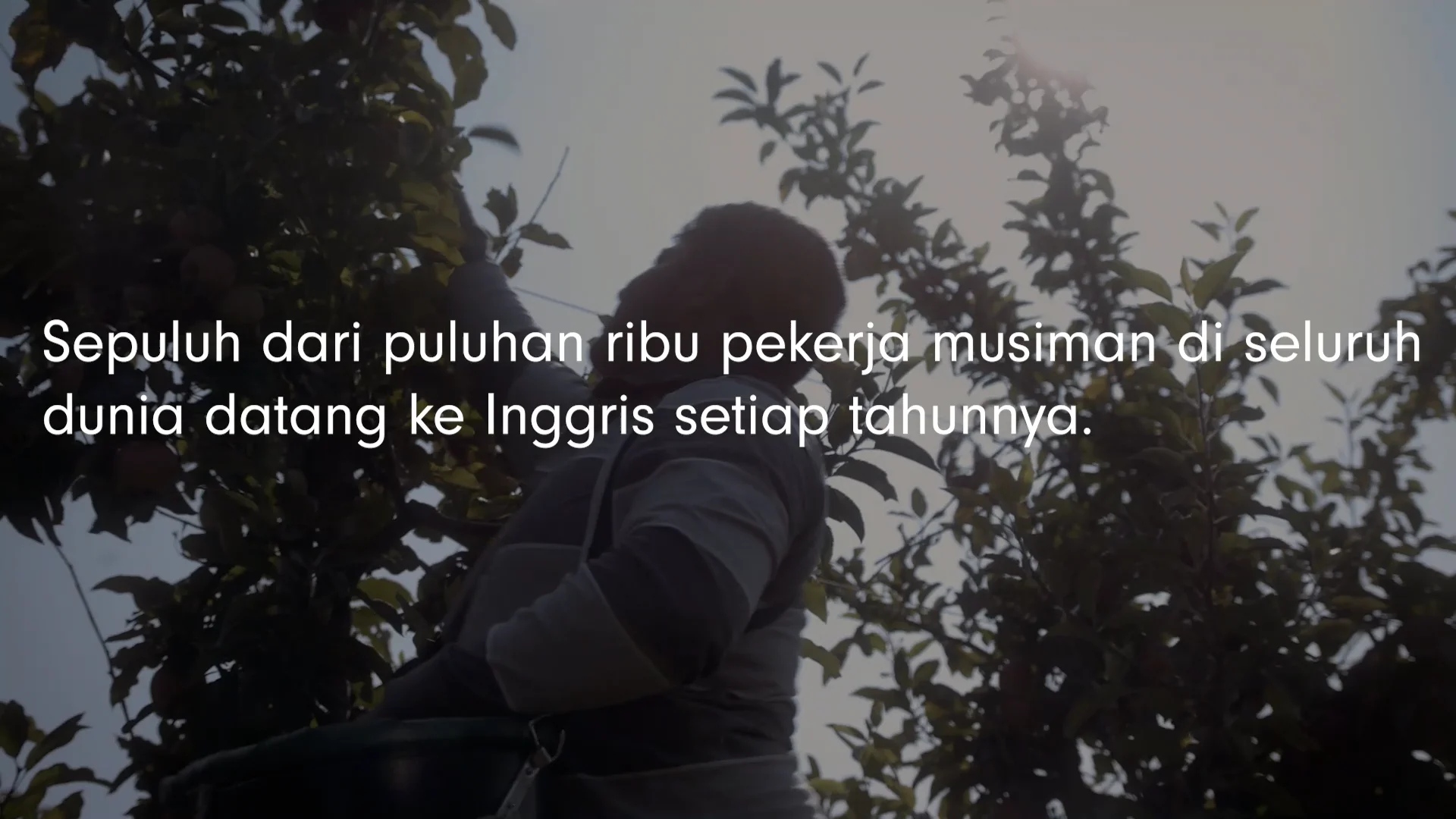 Seasonal Workers' Scheme what to expect when working in the UK