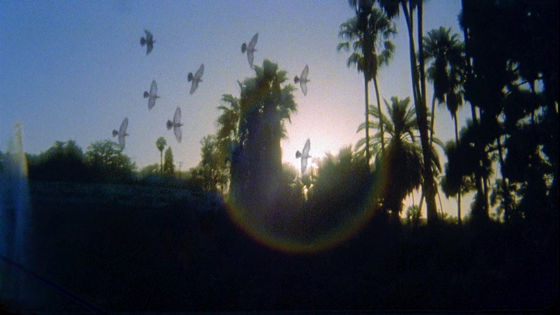 Mary Sea - Althea Slumber music video