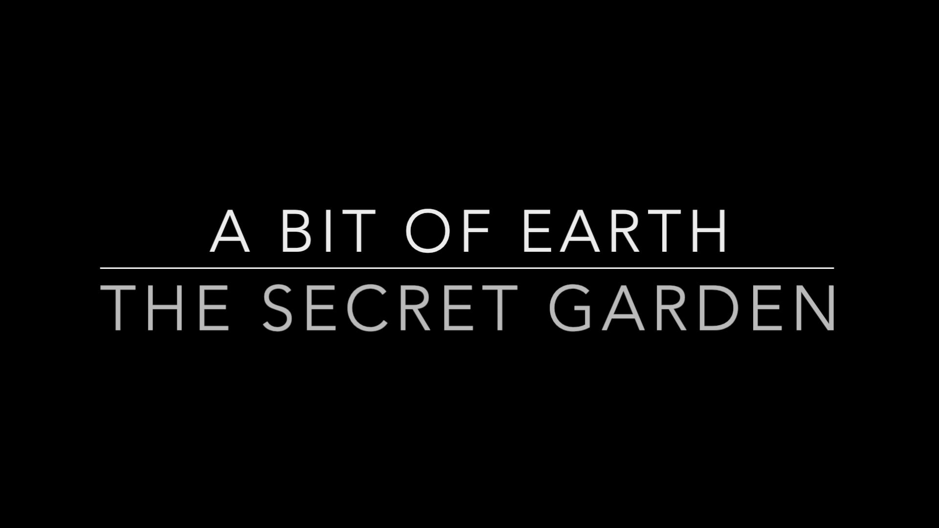 A BIT OF EARTH - MUSICAL THEATRE REEL