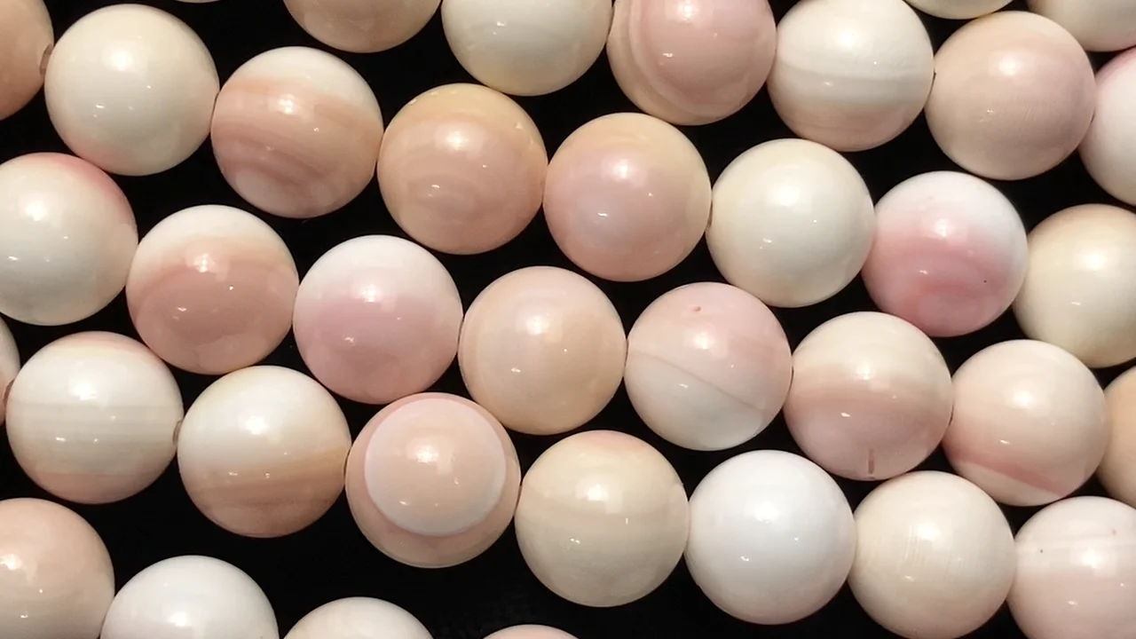 クィーンコンクシェル ラウンド10mm 1連｜天然石ビーズの卸問屋